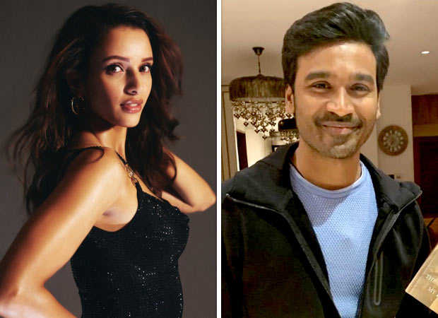 Aanand L Rai signs Triptii Dimri as leading lady in Dhanush starrer Tere Ishk Mein: Report : Bollywood News Aanand L Rai signs Triptii Dimri as leading lady in Dhanush starrer Tere Ishk Mein: Report : Bollywood News
