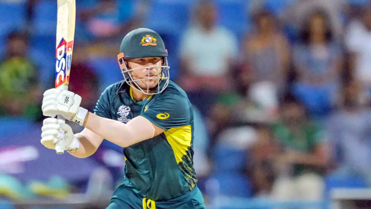 David Warner will not be considered for 2025 Champions Trophy: George Bailey | Cricket News