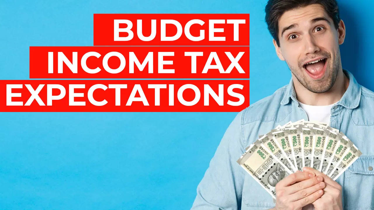Income Tax Expectations Budget 2024: What can the salaried, individual taxpayers expect? Top points Income Tax Expectations Budget 2024: What can the salaried, individual taxpayers expect? Top points