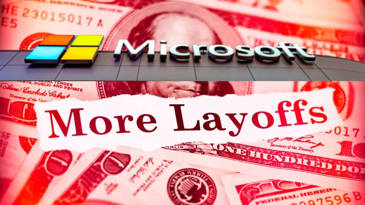 Microsoft lays off DEI team: What are the risks and perks of this job role in 2024? Microsoft lays off DEI team: What are the risks and perks of this job role in 2024?