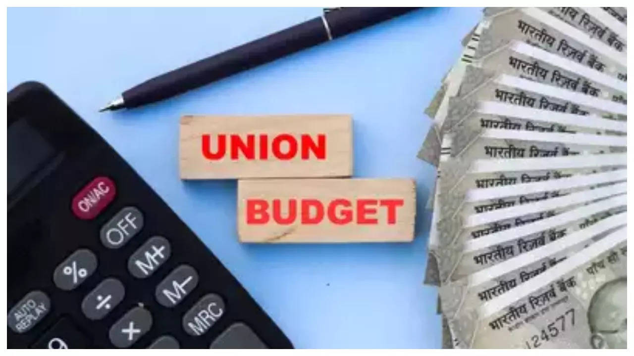 Budget’24-25 highlights policy continuity and focus on climate change Budget’24-25 highlights policy continuity and focus on climate change