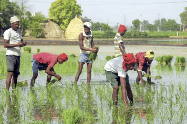 Crop census & farm registries on Centre table Crop census & farm registries on Centre table