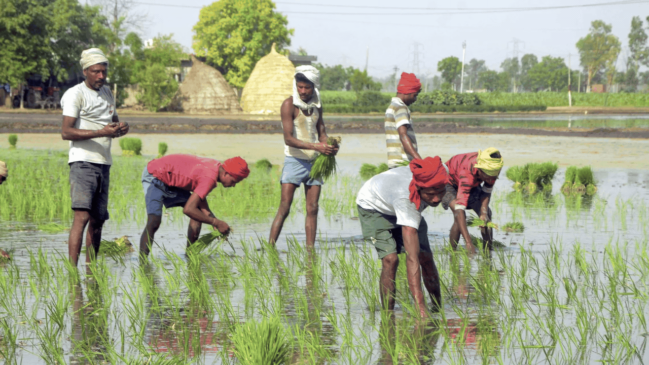 Crop census & farm registries on Centre table Crop census & farm registries on Centre table