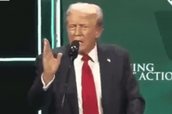 ‘She was a bum’: Trump attacks Harris, complains about Biden’s exit in first appearance without ear bandage ‘She was a bum’: Trump attacks Harris, complains about Biden’s exit in first appearance without ear bandage