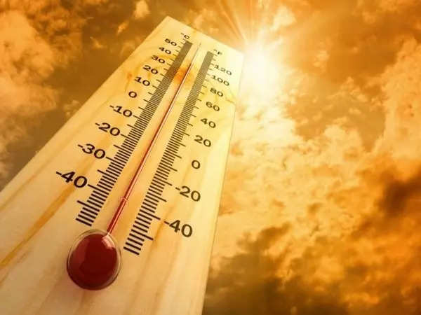 Kashmir schools closed for primary students till July 30 amid heatwave Kashmir schools closed for primary students till July 30 amid heatwave