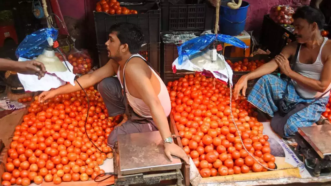 Tomatoes for sale at Rs 60/kg in Mumbai, after Delhi NCR Tomatoes for sale at Rs 60/kg in Mumbai, after Delhi NCR
