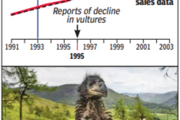 How a painkiller may have caused lakhs of deaths in India | India News