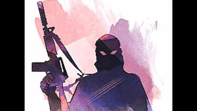 Delhi Police busts al-Qaida terror module, 14 people detained from 3 states | Delhi News Delhi Police busts al-Qaida terror module, 14 people detained from 3 states | Delhi News