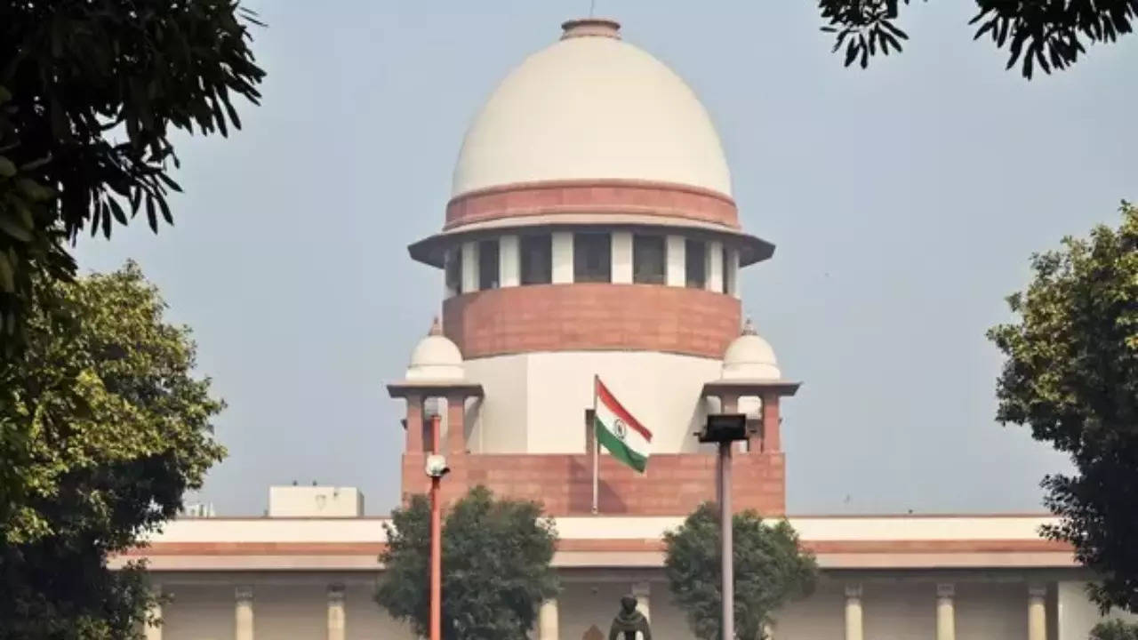 Constitutional courts can order performance audit of legislations: SC | India News Constitutional courts can order performance audit of legislations: SC | India News