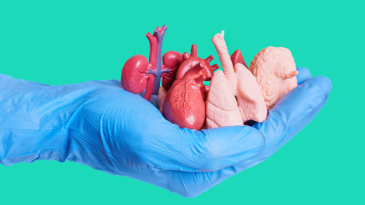 World Organ Donation Day: What you need to know before donating or receiving an organ World Organ Donation Day: What you need to know before donating or receiving an organ