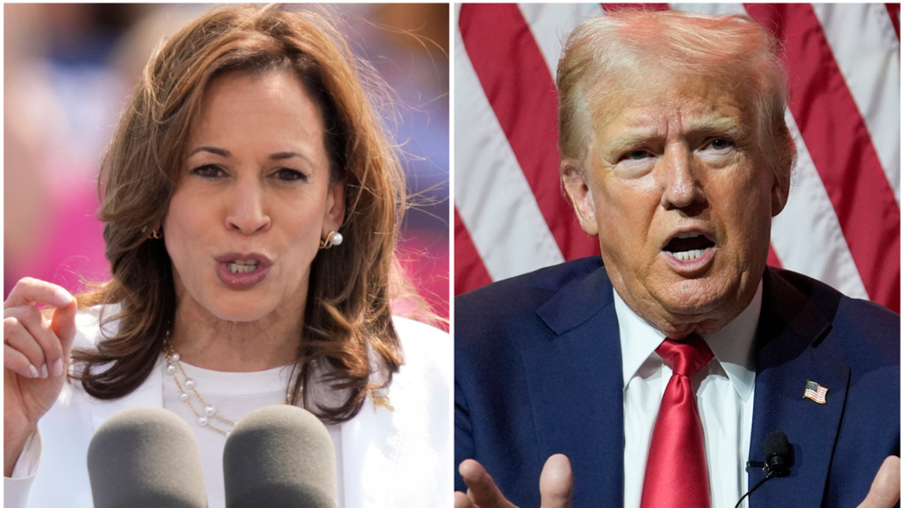 Troll patrol: Trump and Harris taunt each other in toxic campaign Troll patrol: Trump and Harris taunt each other in toxic campaign