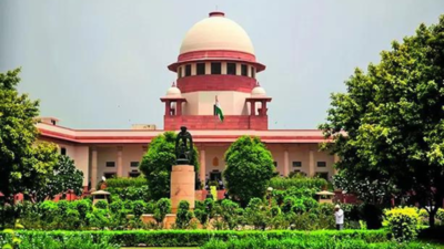 Watching, downloading child pornography are offences under POCSO Act: SC | India News Watching, downloading child pornography are offences under POCSO Act: SC | India News