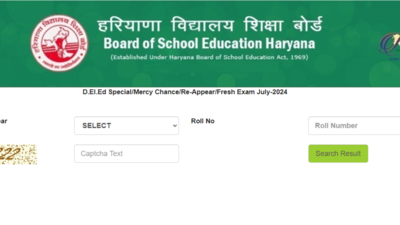 Haryana DElEd July Result 2024 declared: Check direct link here Haryana DElEd July Result 2024 declared: Check direct link here
