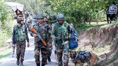 One terrorist killed in encounter with security forces, operation underway in J&K’s Kathua | India News One terrorist killed in encounter with security forces, operation underway in J&K’s Kathua | India News