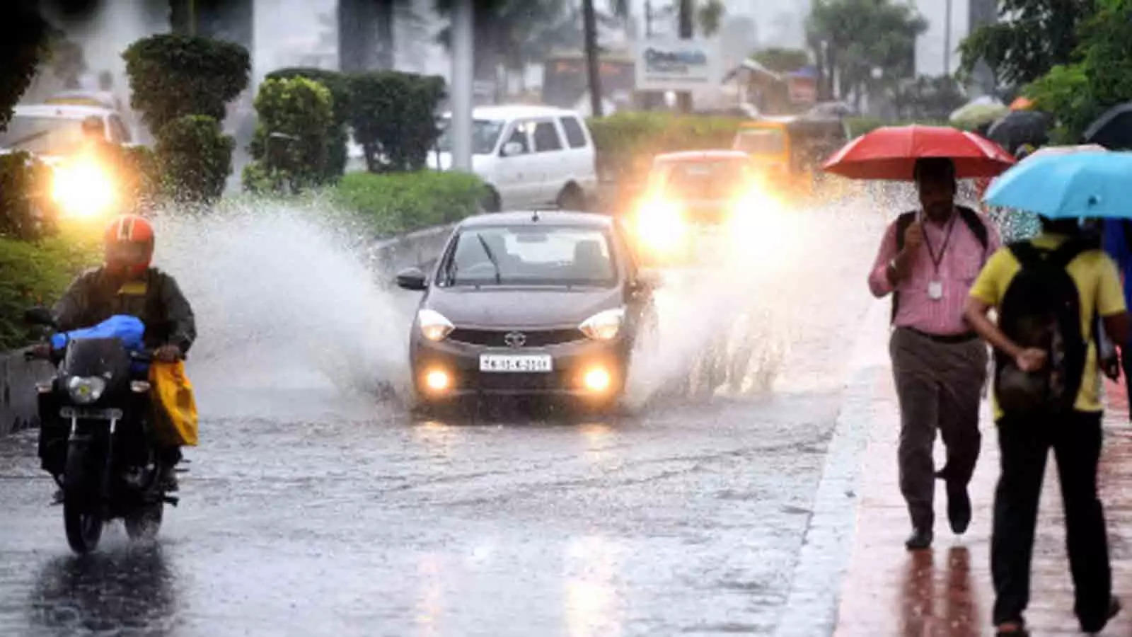 IMD Issues Yellow Alert for Chennai: Will Schools Be Closed Tomorrow?