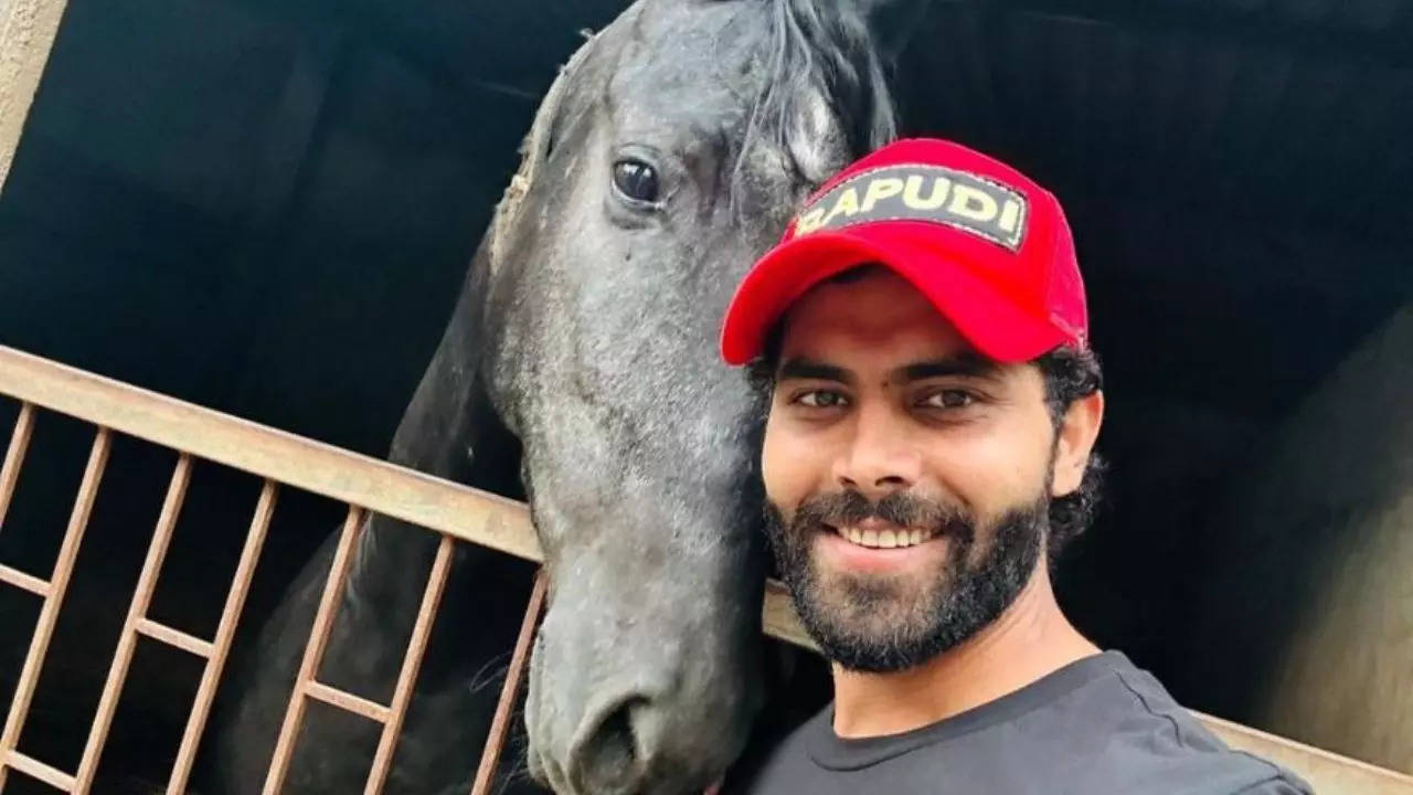 Shikhar Dhawan’s playful comment on Ravindra Jadeja’s latest post | Cricket News