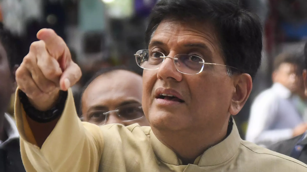 Piyush Goyal backs border adjustment tax for steel Piyush Goyal backs border adjustment tax for steel