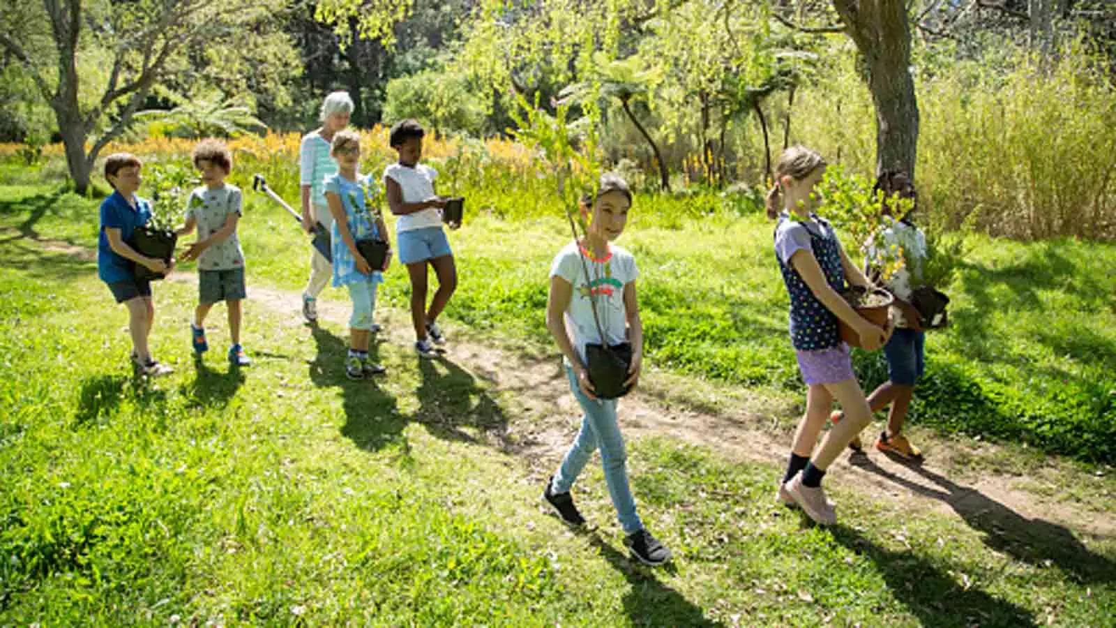 Rajasthan Schools to Offer Marks for Behaviour, Tree Plantation Rajasthan Schools to Offer Marks for Behaviour, Tree Plantation