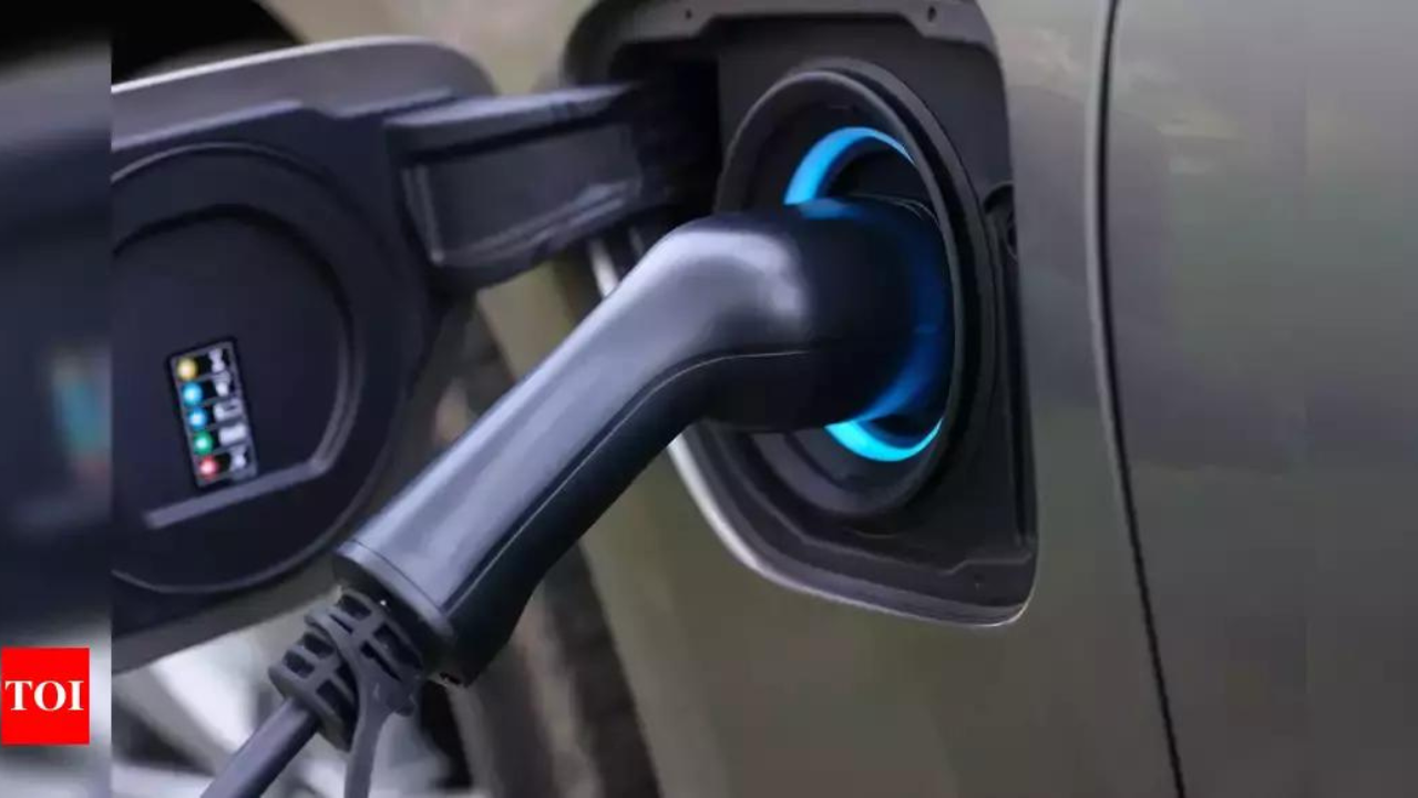 Mix of EVs, hybrids, plug-in-hybrids to drive India’s clean energy auto sector: Report