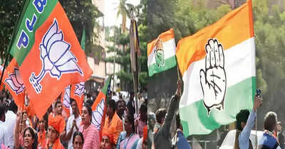 Haryana Election Result 2024: Educational and professional background of 5 popular leaders who won the state-assembly polls Haryana Election Result 2024: Educational and professional background of 5 popular leaders who won the state-assembly polls