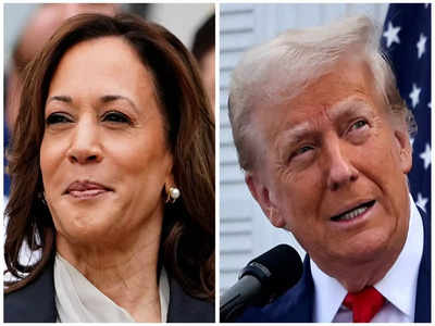 Four-Year Degrees vs. Skill-Based Education: Harris and Trump’s Stance on Federal Jobs
