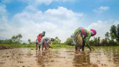 Indian Meteorological Department: Government launches Gram panchayat-level weather forecasting to make villages ‘climate resilient’ | India News Indian Meteorological Department: Government launches Gram panchayat-level weather forecasting to make villages ‘climate resilient’ | India News