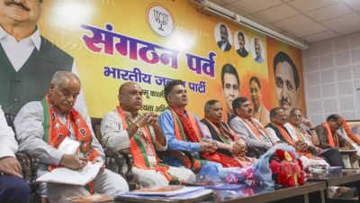 Haste on statehood should be avoided, says J&K BJP chief | India News Haste on statehood should be avoided, says J&K BJP chief | India News