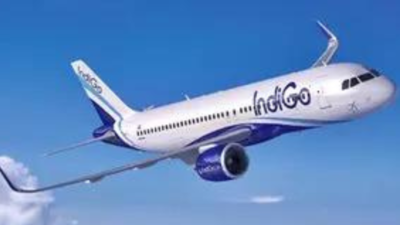 IndiGo to begin daily flight between Pune and Dubai from November 22 IndiGo to begin daily flight between Pune and Dubai from November 22